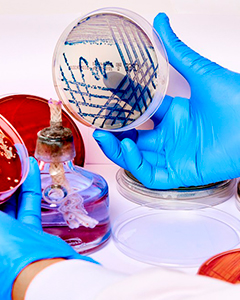 Hematología